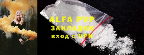 индика Богородицк