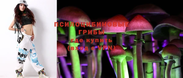индика Богородицк