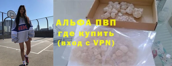 индика Богородицк