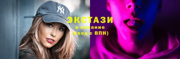индика Богородицк