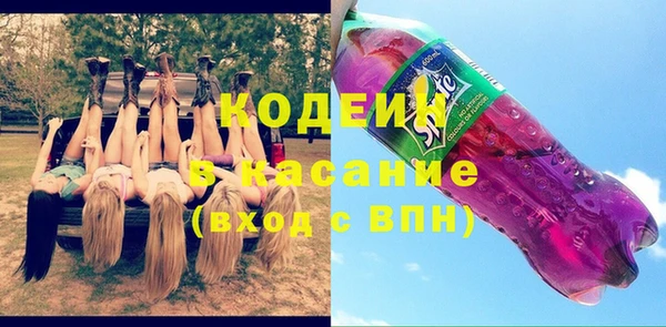 индика Богородицк