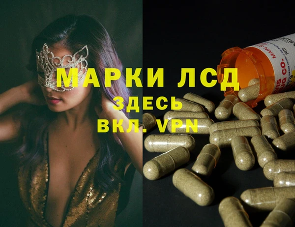 spice Беломорск