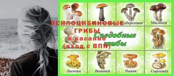 амф Богородск